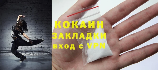 прущие грибы Шадринск