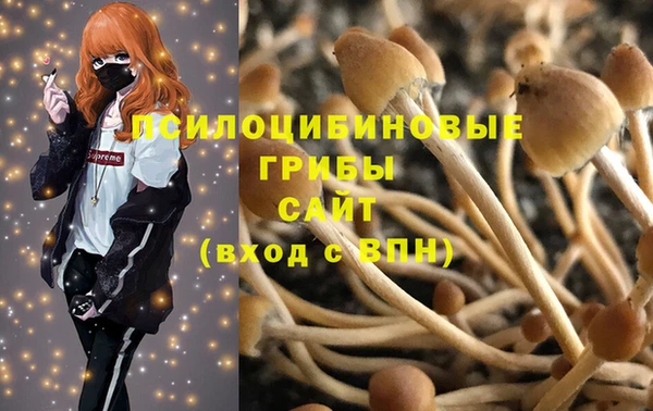 прущая мука Шали