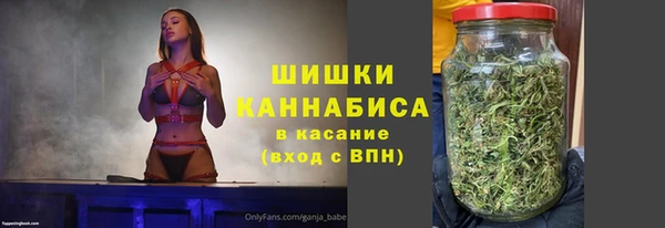 индика Лабытнанги
