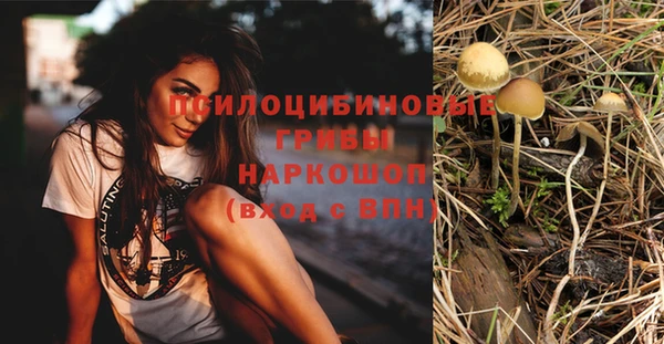 винт Кукмор