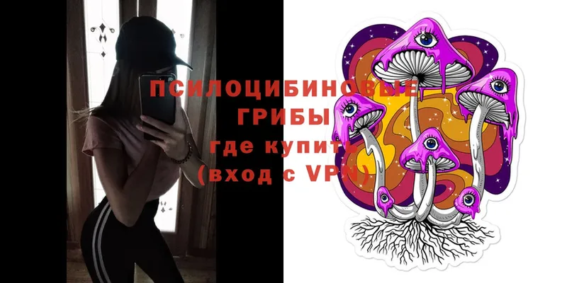 Галлюциногенные грибы Psilocybe  дарнет шоп  Нытва 